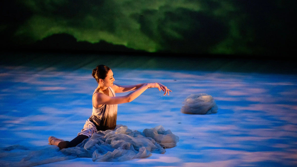 Your Donation - Support Dance Loft on 14